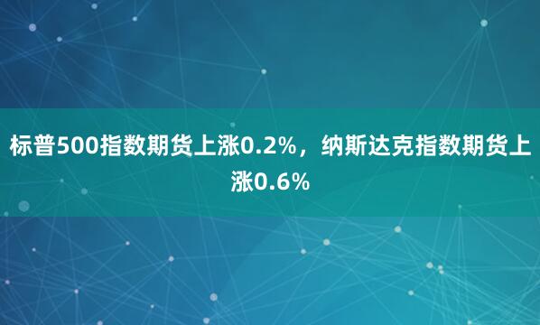 标普500指数期货上涨0.2%，纳斯达克指数期货上涨0.6%