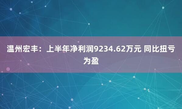 温州宏丰：上半年净利润9234.62万元 同比扭亏为盈