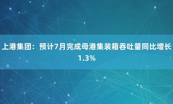 上港集团：预计7月完成母港集装箱吞吐量同比增长1.3%