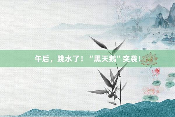 午后，跳水了！“黑天鹅”突袭！