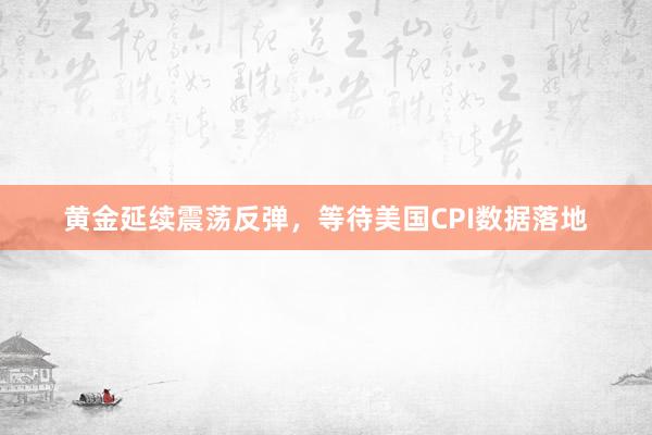 黄金延续震荡反弹，等待美国CPI数据落地