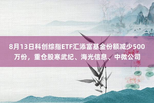 8月13日科创综指ETF汇添富基金份额减少500万份，重仓股寒武纪、海光信息、中微公司