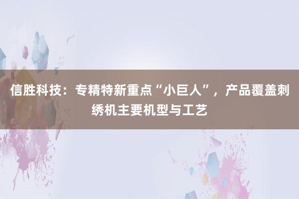 信胜科技：专精特新重点“小巨人”，产品覆盖刺绣机主要机型与工艺