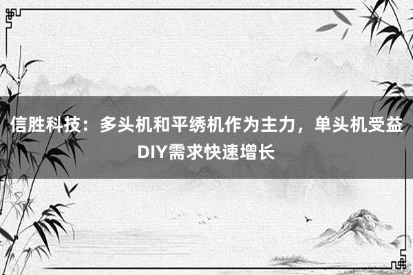 信胜科技：多头机和平绣机作为主力，单头机受益DIY需求快速增长