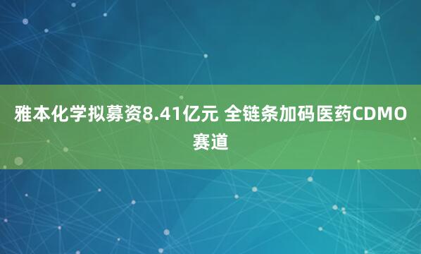 雅本化学拟募资8.41亿元 全链条加码医药CDMO赛道
