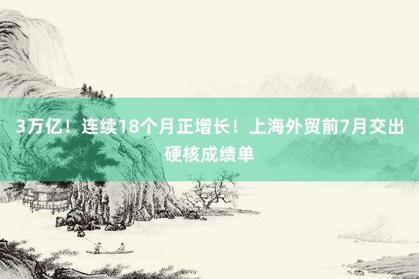 3万亿!连续18个月正增长!上海外贸前7月交出硬核成绩单