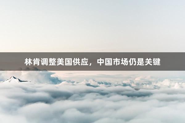 林肯调整美国供应，中国市场仍是关键