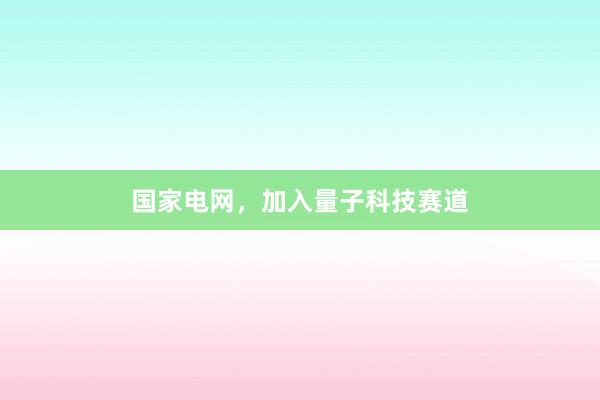 国家电网，加入量子科技赛道