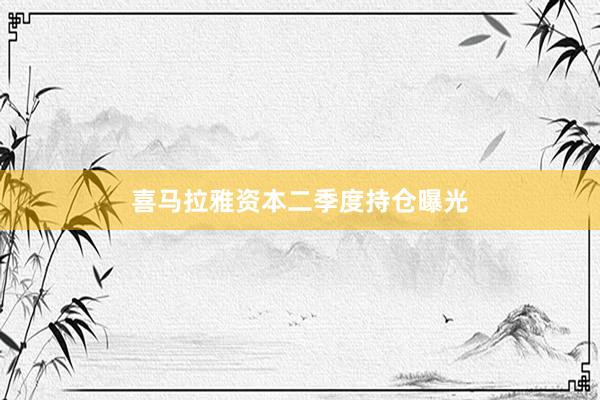 喜马拉雅资本二季度持仓曝光