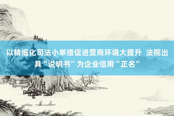 以精细化司法小举措促进营商环境大提升  法院出具“说明书”为企业信用“正名”