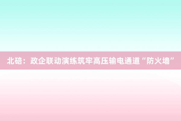 北碚：政企联动演练筑牢高压输电通道“防火墙”