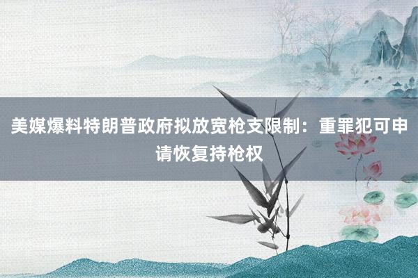 美媒爆料特朗普政府拟放宽枪支限制：重罪犯可申请恢复持枪权
