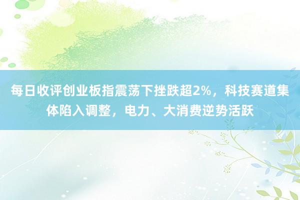 每日收评创业板指震荡下挫跌超2%，科技赛道集体陷入调整，电力、大消费逆势活跃