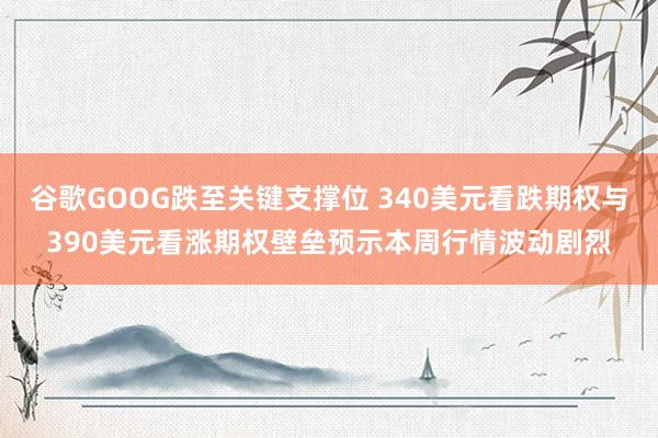 谷歌GOOG跌至关键支撑位 340美元看跌期权与390美元看涨期权壁垒预示本周行情波动剧烈