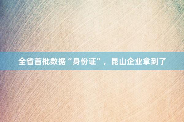 全省首批数据“身份证”，昆山企业拿到了
