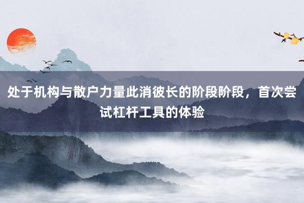 处于机构与散户力量此消彼长的阶段阶段，首次尝试杠杆工具的体验