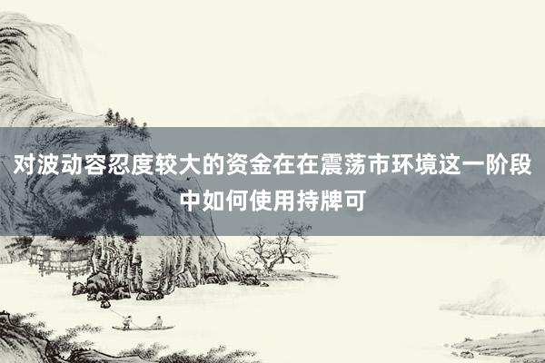 对波动容忍度较大的资金在在震荡市环境这一阶段中如何使用持牌可