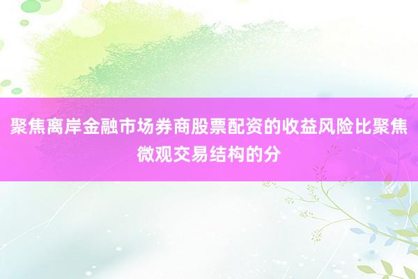 聚焦离岸金融市场券商股票配资的收益风险比聚焦微观交易结构的分