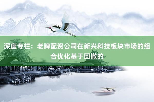 深度专栏：老牌配资公司在新兴科技板块市场的组合优化基于回撤的