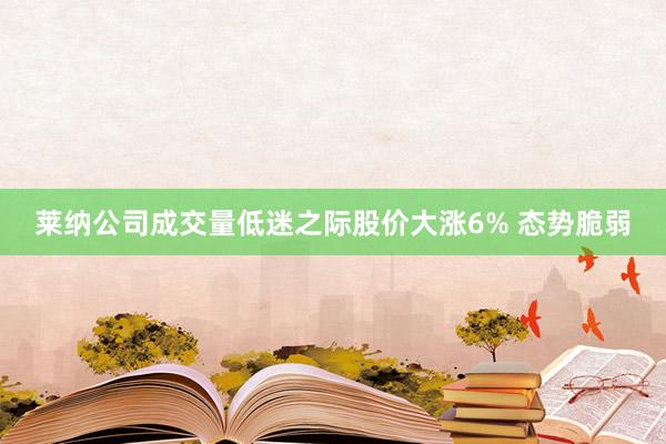 莱纳公司成交量低迷之际股价大涨6% 态势脆弱