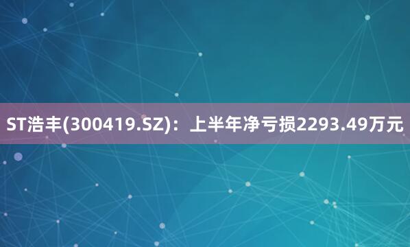 ST浩丰(300419.SZ)：上半年净亏损2293.49万元