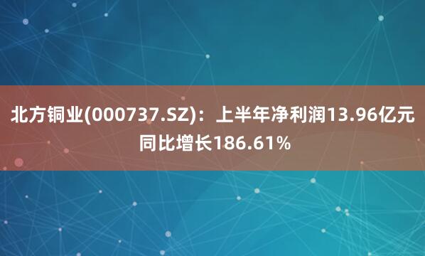 北方铜业(000737.SZ)：上半年净利润13.96亿元 同比增长186.61%