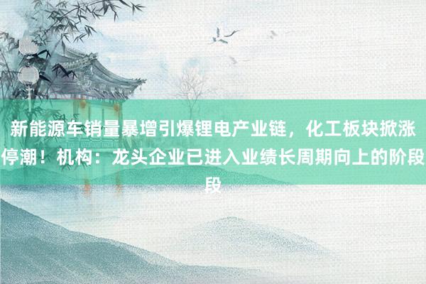 新能源车销量暴增引爆锂电产业链，化工板块掀涨停潮！机构：龙头企业已进入业绩长周期向上的阶段
