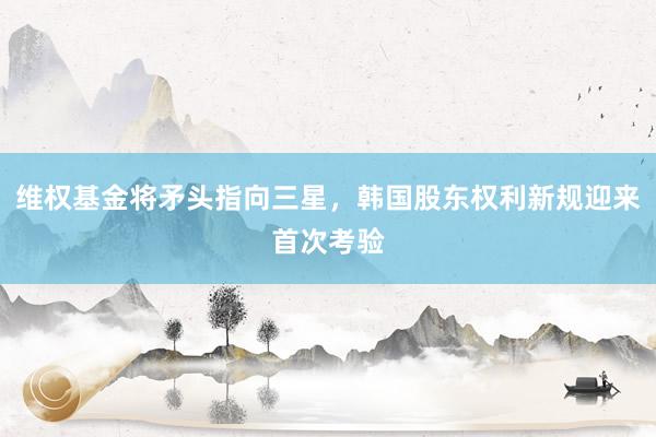 维权基金将矛头指向三星，韩国股东权利新规迎来首次考验