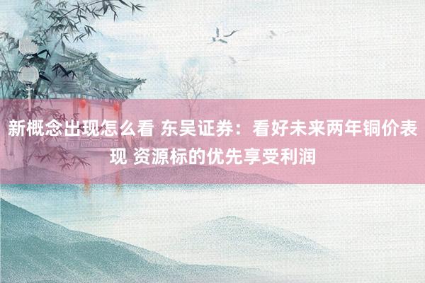 新概念出现怎么看 东吴证券:看好未来两年铜价表现 资源标的优先享受利润