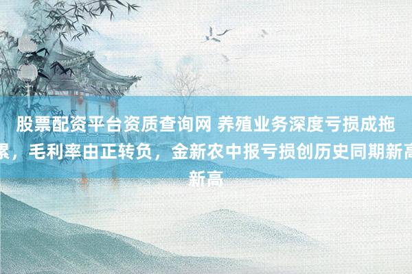 股票配资平台资质查询网 养殖业务深度亏损成拖累，毛利率由正转负，金新农中报亏损创历史同期新高
