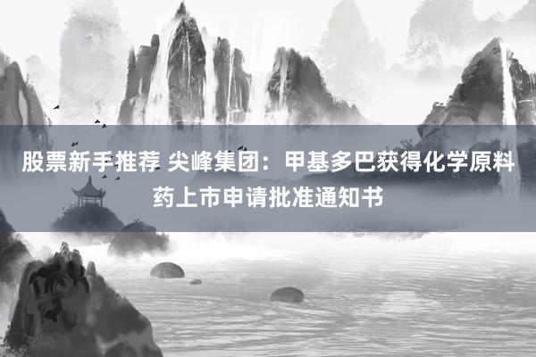 股票新手推荐 尖峰集团：甲基多巴获得化学原料药上市申请批准通知书