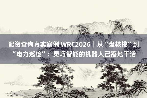 配资查询真实案例 WRC2026｜从“盘核桃”到“电力巡检”：灵巧智能的机器人已落地干活