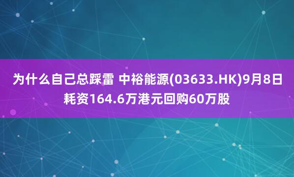 为什么自己总踩雷 中裕能源(03633.HK)9月8日耗资164.6万港元回购60万股