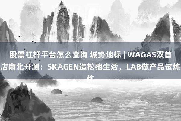 股票杠杆平台怎么查询 城势地标 | WAGAS双首店南北开测：SKAGEN造松弛生活，LAB做产品试炼