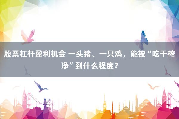 股票杠杆盈利机会 一头猪、一只鸡，能被“吃干榨净”到什么程度？