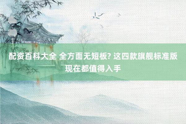 配资百科大全 全方面无短板? 这四款旗舰标准版现在都值得入手