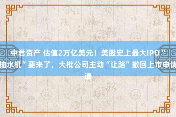 中君资产 估值2万亿美元！美股史上最大IPO“抽水机”要来了，大批公司主动“让路”撤回上市申请