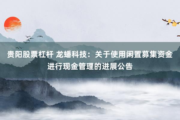 贵阳股票杠杆 龙蟠科技：关于使用闲置募集资金进行现金管理的进展公告