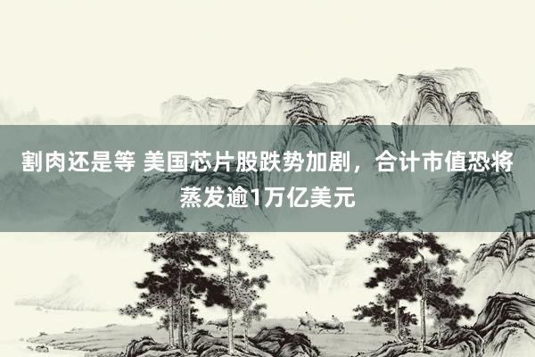 割肉还是等 美国芯片股跌势加剧，合计市值恐将蒸发逾1万亿美元