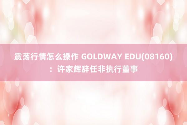 震荡行情怎么操作 GOLDWAY EDU(08160)：许家辉辞任非执行董事